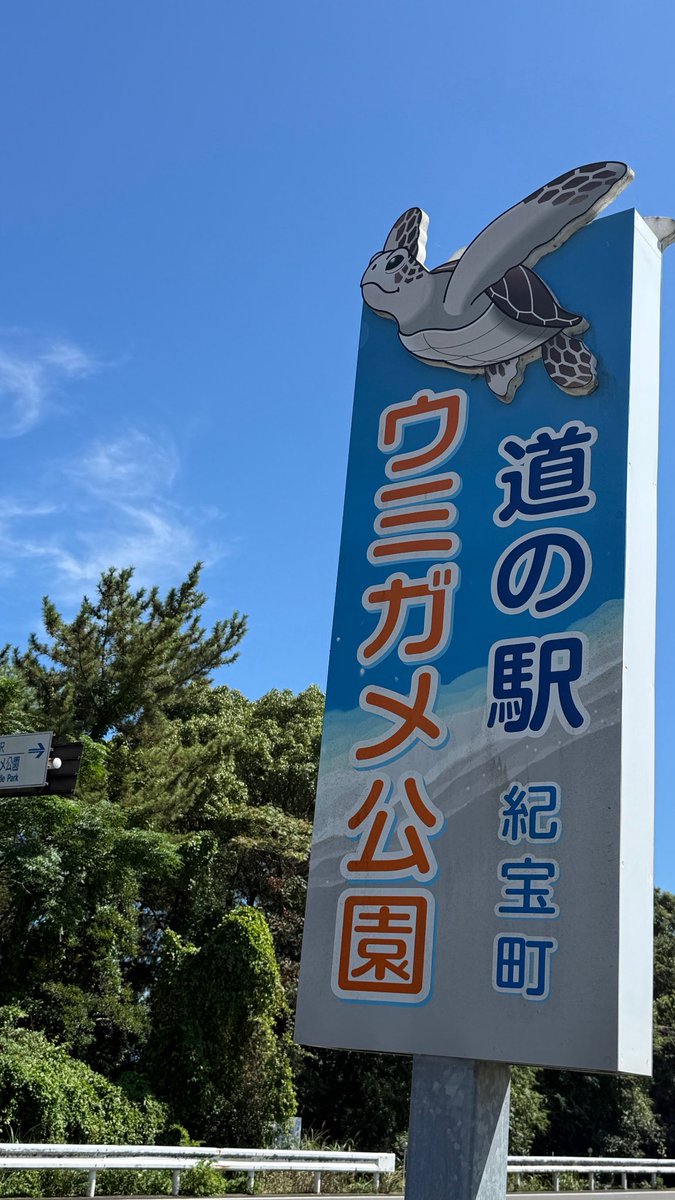 masputina's tweet photo. 夏の海‼️ザ太平洋‼️
海亀の赤ちゃん可愛いな❣️
完璧🌊🌊🌊 https://t.co/cVLxSJnfy3