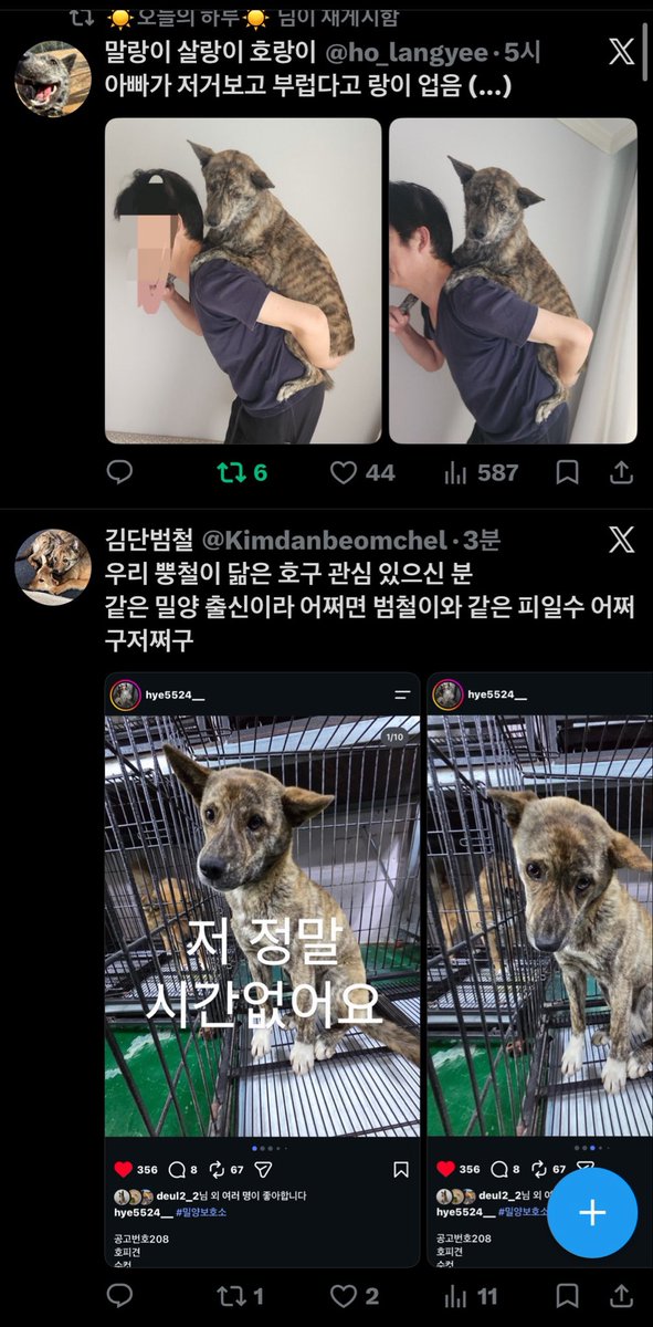 Kimdanbeomchel's tweet photo. 강아지 귀모양이 어떻게 나침반 https://t.co/WNIDljNmfw
