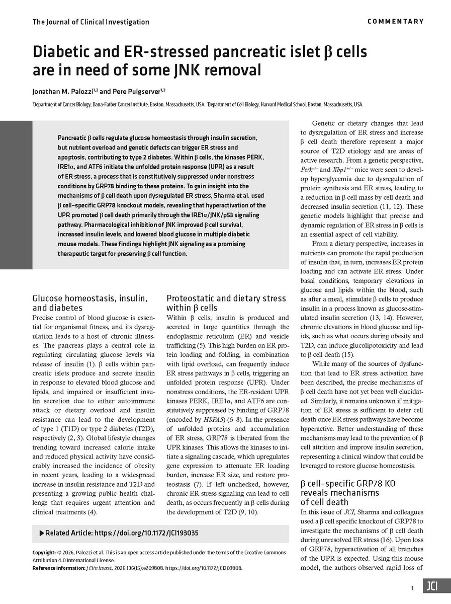 jclinicalinvest's tweet photo. @WeillCornell 🧵 3/3 | See the Commentary by Jonathan M. Palozzi &amp; Pere Puigserver: https://t.co/li9RNxbk03 https://t.co/kCELw9VdBe