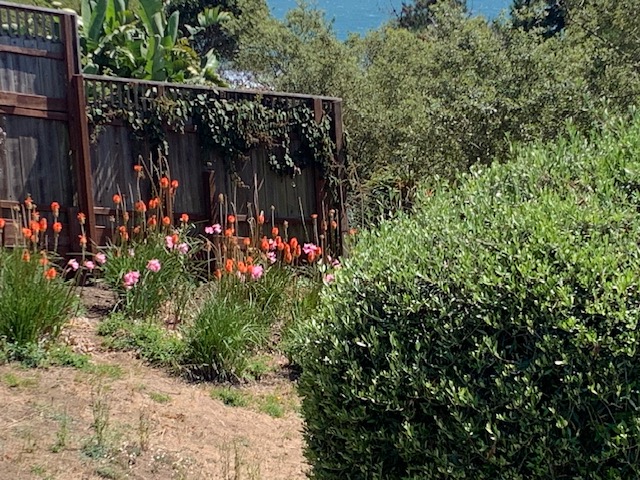 StreelmanLab's tweet photo. took a break recently in Stinson Beach. the small post office here was the place we sent decorated ticket requests for the Dead.. https://t.co/YceBim4jWW