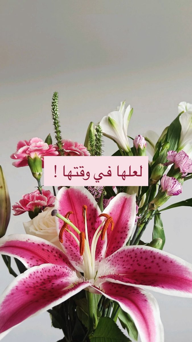 nourama9_'s tweet photo. لعلها في وقتها ! 🪔🌸

لا يتأخر ماترجوه عبثًا ولا يغرس في قلبك هذا الشوق ثم يترك بلا ثمرة🤍. https://t.co/QmDGTQbPAD