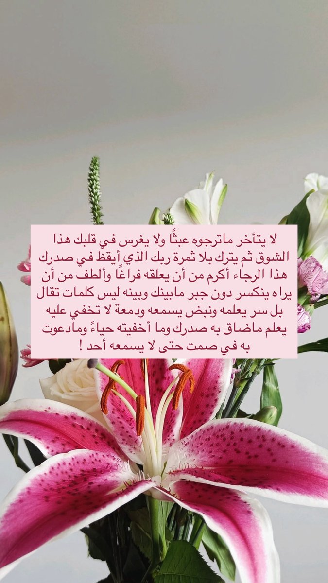 nourama9_'s tweet photo. لعلها في وقتها ! 🪔🌸

لا يتأخر ماترجوه عبثًا ولا يغرس في قلبك هذا الشوق ثم يترك بلا ثمرة🤍. https://t.co/QmDGTQbPAD