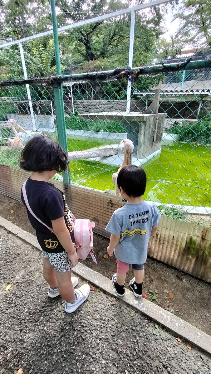 tossiii6885's tweet photo. 家族でちゃんとした旅行は始めてかな

突然決めた弾丸旅行だったけど長野楽しかった(ﾟωﾟ) https://t.co/R6Cy9fMnMA