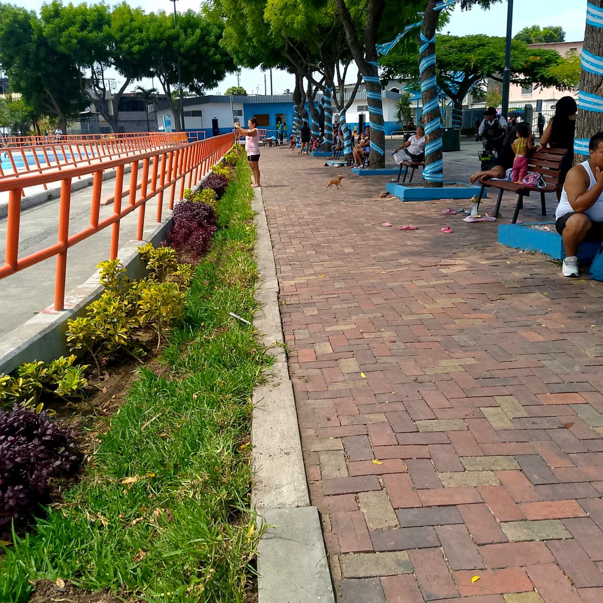 parquesgye's tweet photo. 👷‍♂️Además del mantenimiento agronómico, nuestra cuadrilla ejecuta trabajos de mantenimiento civil en parques y espacios públicos de Guayaquil, atendiendo las necesidades de cada sector para conservar y mejorar sus instalaciones. 1/4

Conoce algunos de los puntos intervenidos:
#AsiSeHaceGuayaquil #AquiEstamos #GuayaquilNoSeDetiene #CiudadDeTodos @alcaldiagye @taticoronelf