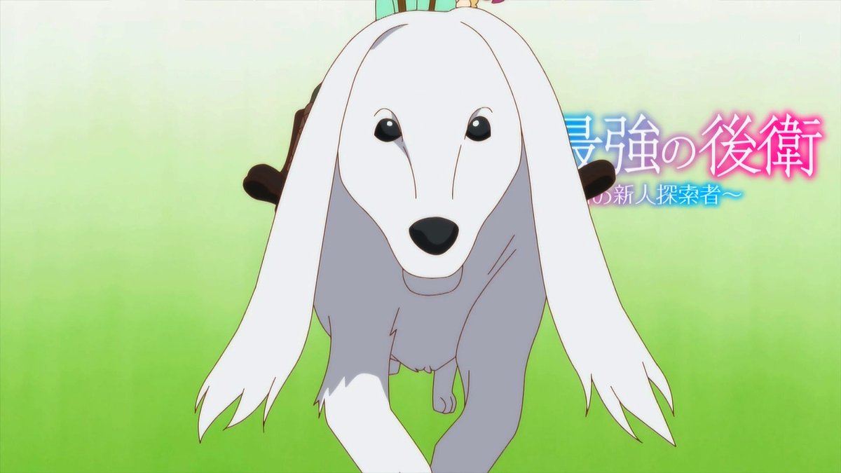 世界最強の後衛 ～迷宮国の新人探索者～ 第7話 ツイート画像 1