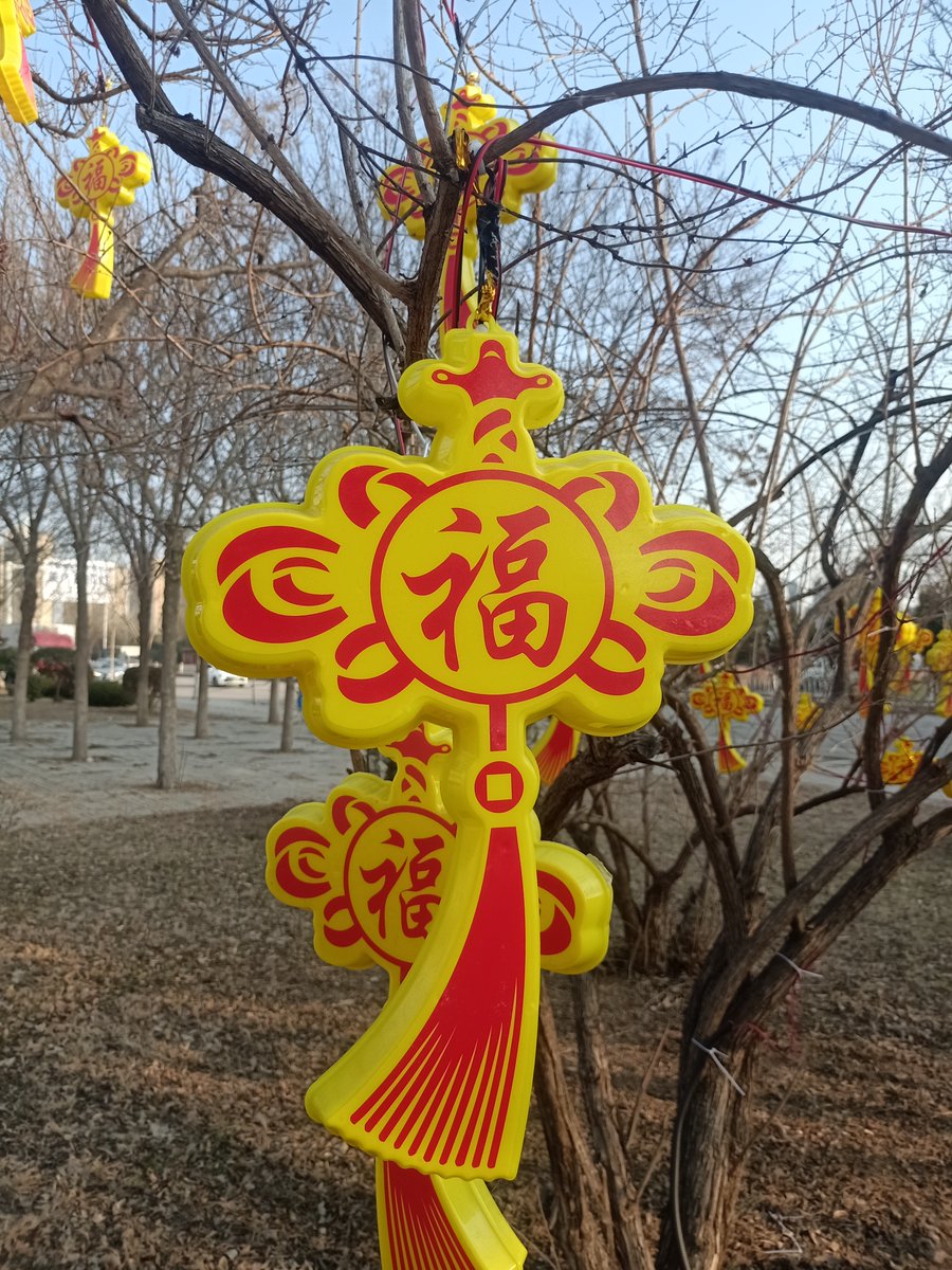 DaveJano31's tweet photo. Happy Lunar New Year! May your days be filled with luck, joy, and warm moments with loved ones. https://t.co/9ghYUeTprf