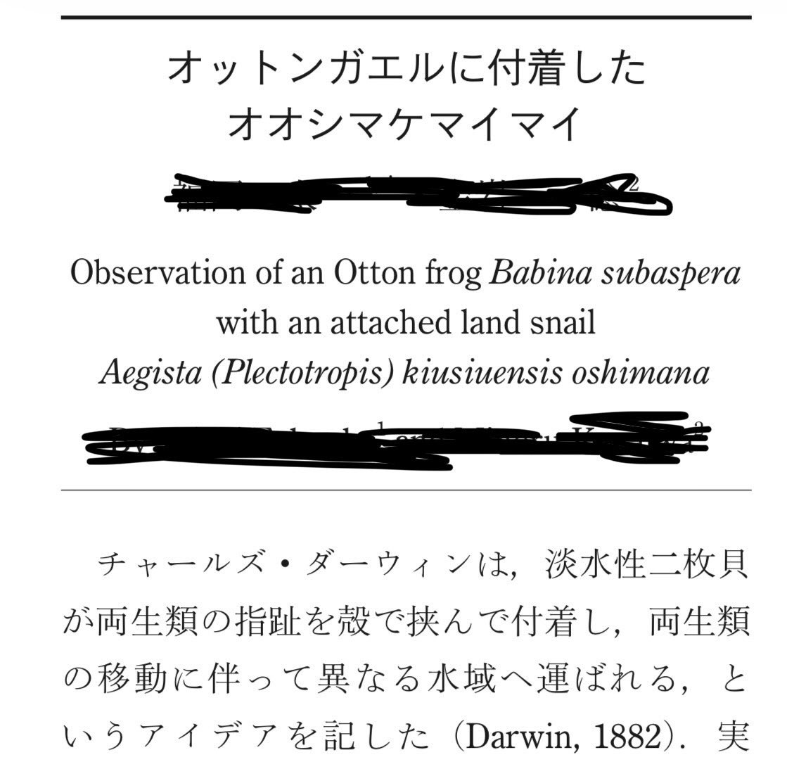 hapeligi's tweet photo. 今さらながら、爬虫両棲類学会報 2026 （1）に「オットンガエルに付着したオオシマケマイマイ」の表題で、一例報告が掲載されました。

報告内容は表題の通りですが、両生類による陸貝の分布拡大にも言及しています。

自然史の小さな発見を掲載していただけて、ありがたい限りです。 https://t.co/5vSHjP9WXn
