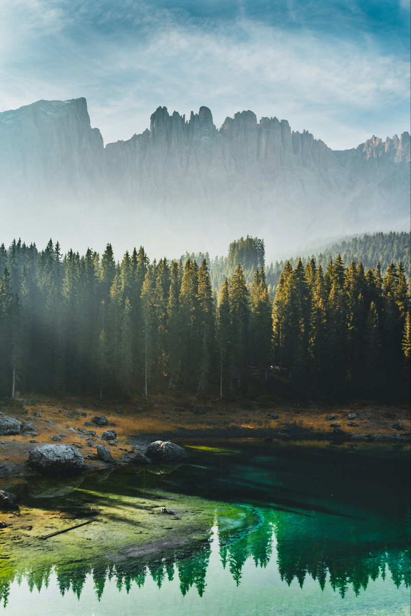 louv4pi's tweet photo. “God our Father, may we #love you in all things and above all things and reach the #joy you have prepared for us beyond all our imagining.” - Concluding Prayer, Sun., Aug. 16 Morning Prayer, #Liturgy of Hours.
(Photo: Manuel Venturini, Italy, Unsplash) https://t.co/ONq2nyvh6q