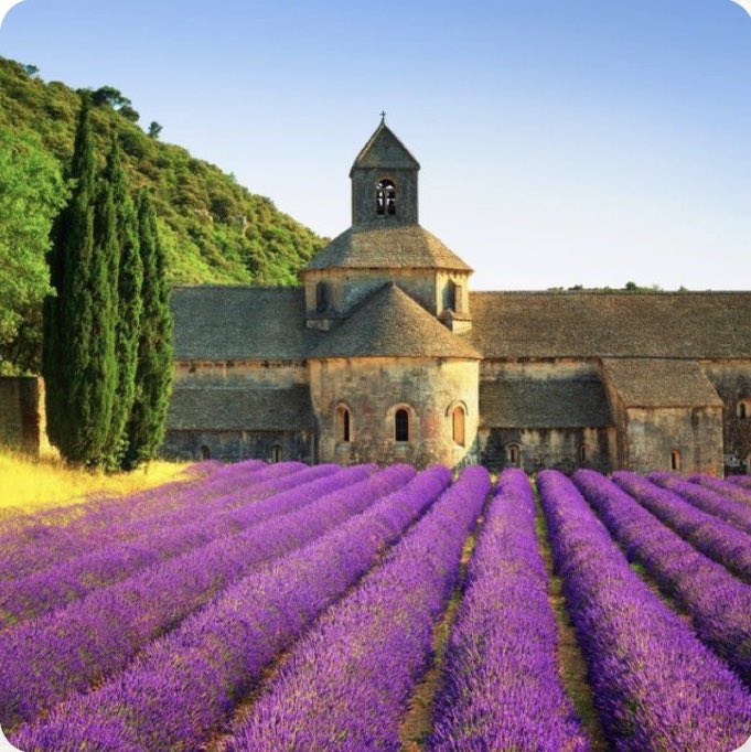 AlBlaineau's tweet photo. Sénanque, comme un tableau https://t.co/FR5GfPxyTg