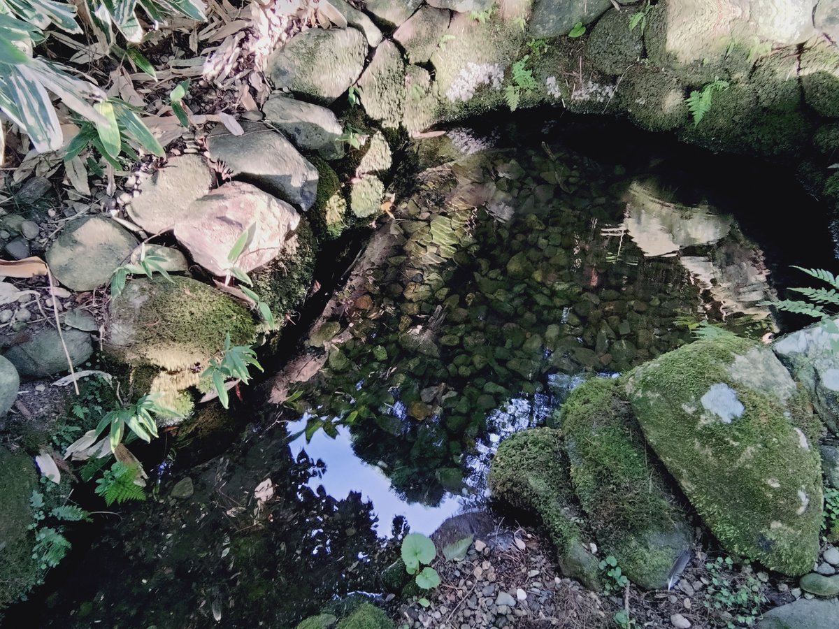mtnk_kstj's tweet photo. 毎年涼を求めて近くの清水の名所に散歩しに行きます。いつもスイカとトマトとサイダー冷やしてて好き。 https://t.co/9Xc4eEyUzH