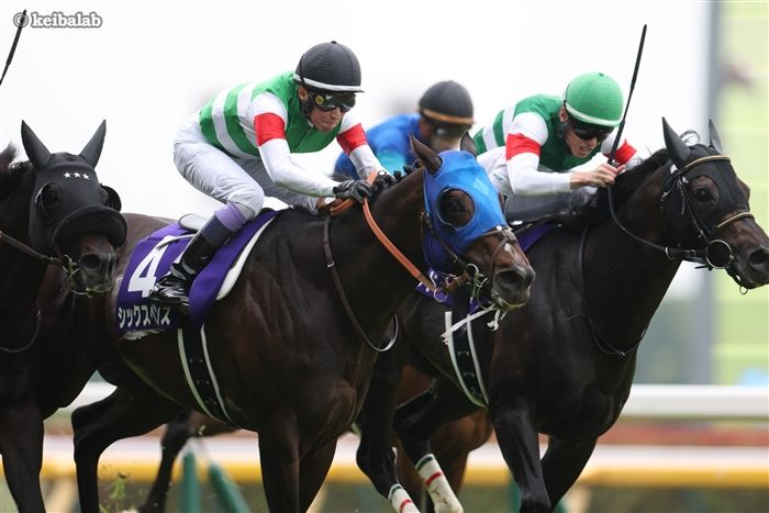keibalab's tweet photo. 【幸運のお守りを持たせ、花束を抱え待つ】
ジャックルマロワ賞
ドーヴィル4R 22:50発走予定(日本時間)

シックスペンス 武豊騎手
シュトラウス J.モレイラ騎手
#シックスペンス #シュトラウス #頑張れニッポン 
https://t.co/d3uWmv4ath https://t.co/OBc7gYl2V3