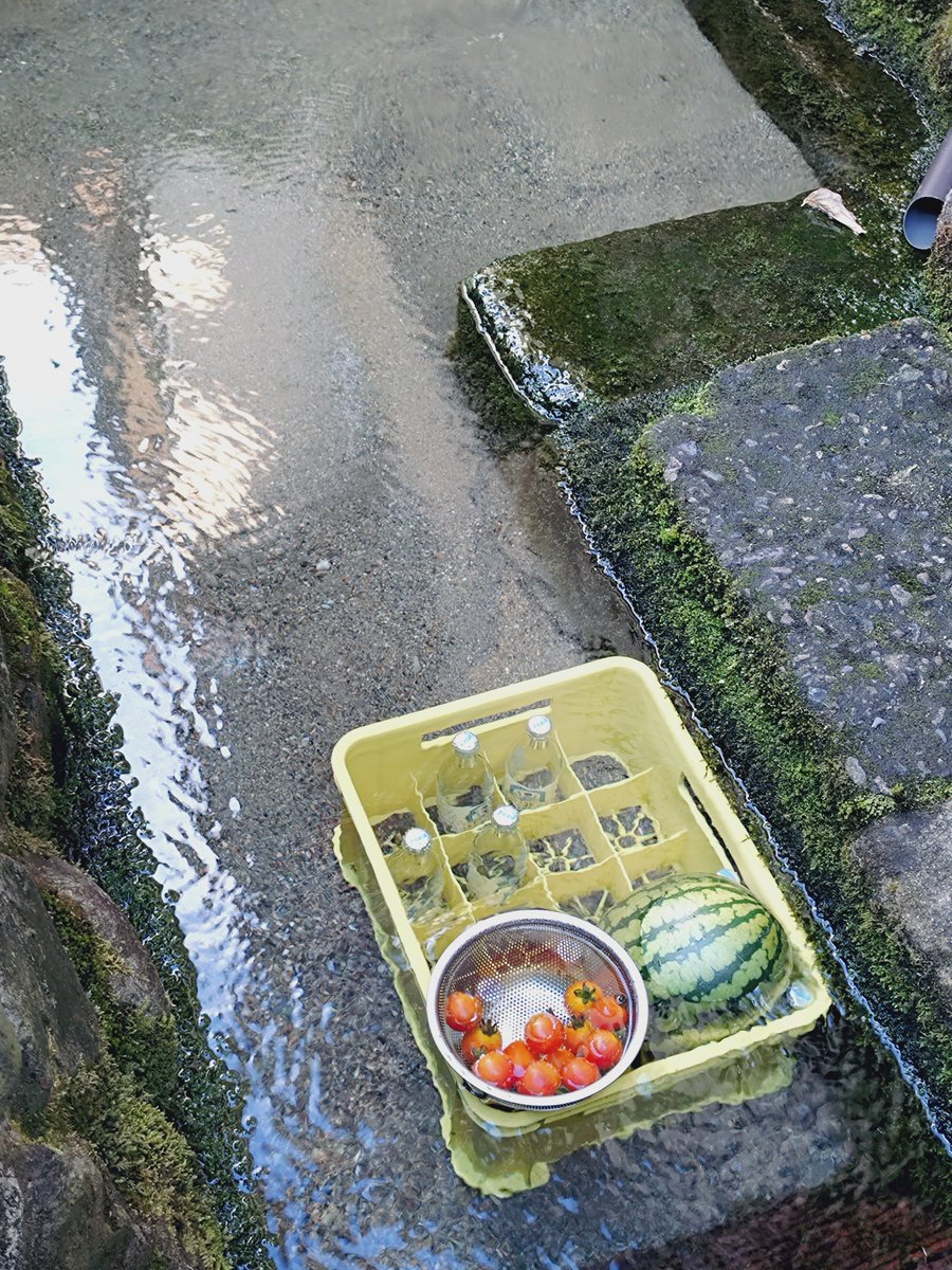 mtnk_kstj's tweet photo. 毎年涼を求めて近くの清水の名所に散歩しに行きます。いつもスイカとトマトとサイダー冷やしてて好き。 https://t.co/9Xc4eEyUzH