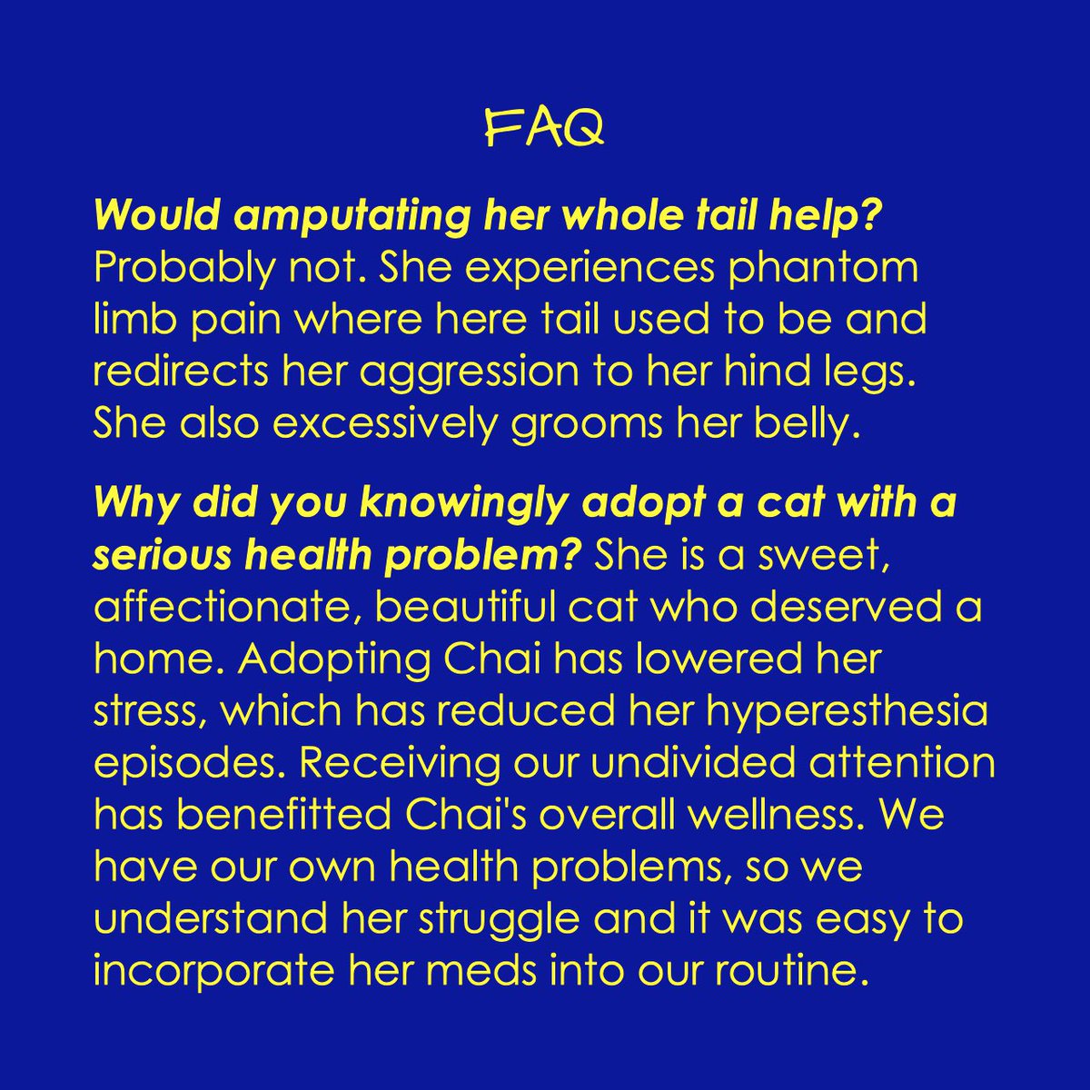 ChaiGerdes's tweet photo. Now that I’ve fully recovered from tail surgery, here’s some updated info on my health condition. 

If you think your kitty may have #hyperesthesia, feel free to ask anything. There are ways to treat it!

#felinehyperesthesia #twitchycat #twitchycatsyndrome https://t.co/qjRkf0t65H