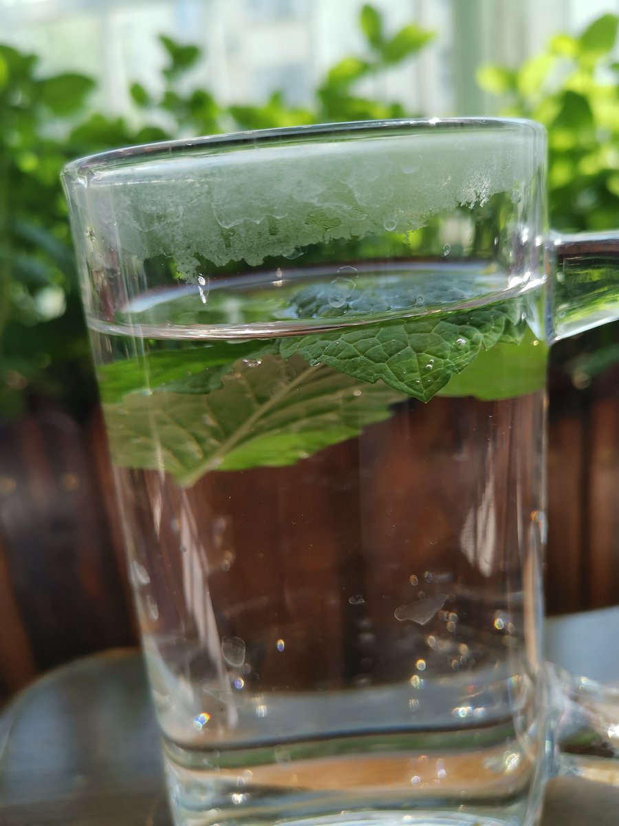 Muhamma43258258's tweet photo. Perfect iced matcha latte in 2 mins: Whisk 1 tsp matcha + 2oz warm water, add 8oz oat milk u0026 ice. Sip cozy vegan goodness! https://t.co/DeNHgAFU9h