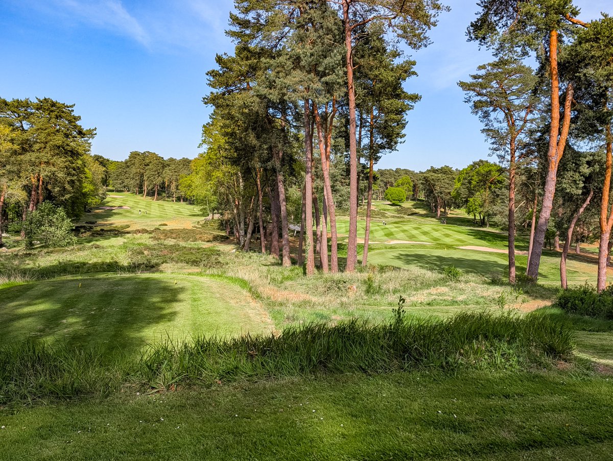 franksgolfing's tweet photo. Truly one of the special landscapes in all of golf. Golf de Fontainebleau in France is an incredible golf course being made even better by @cdpgolf1 A varied routing with stunning movement and vibrant textures. https://t.co/aXQgzjBJex