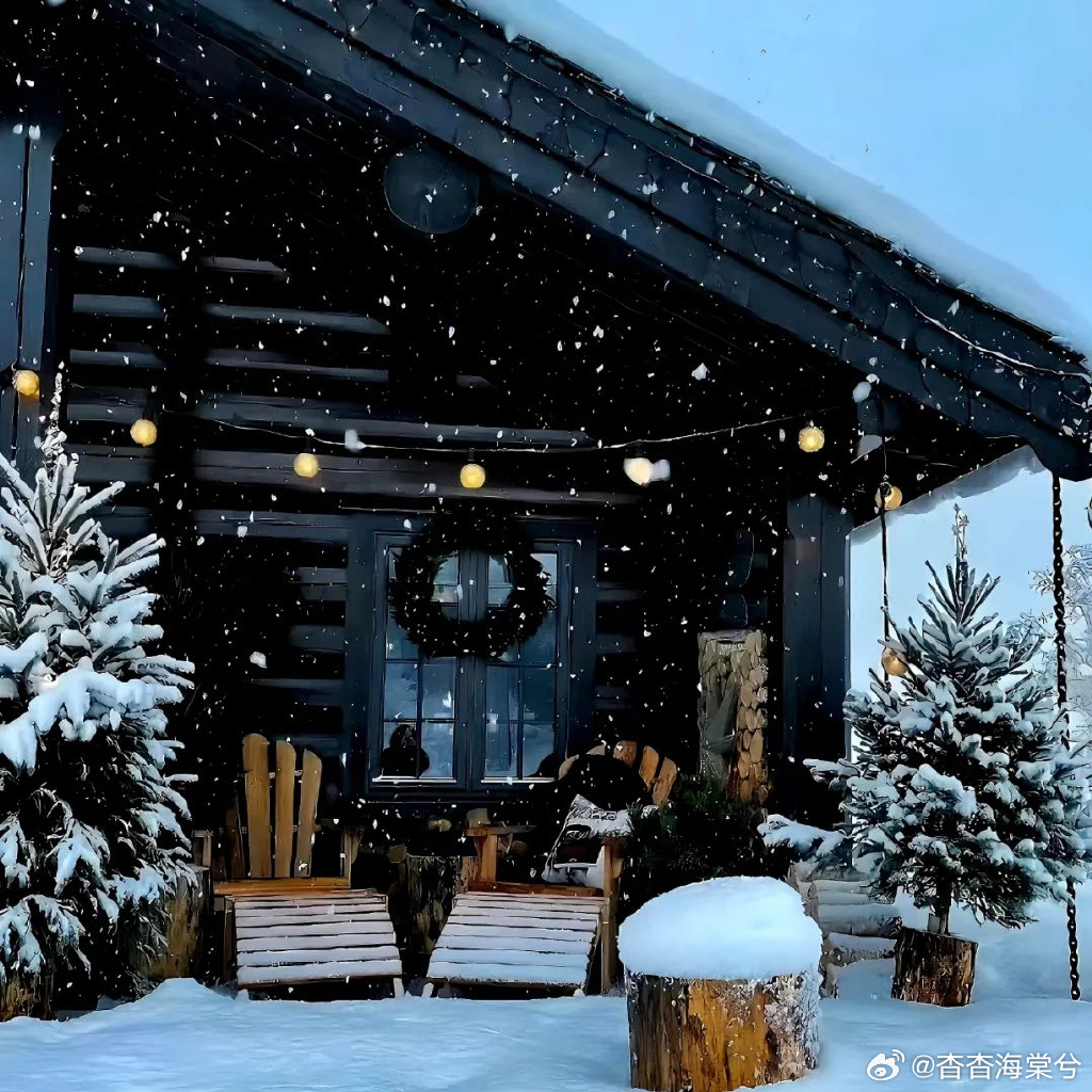 MasYat4's tweet photo. The first snow of the season just dusted the street outside my window  Fresh, quiet, and perfect for a warm cup of hot chocolate—winter’s coziest little surprise https://t.co/4vOzK3LnqK