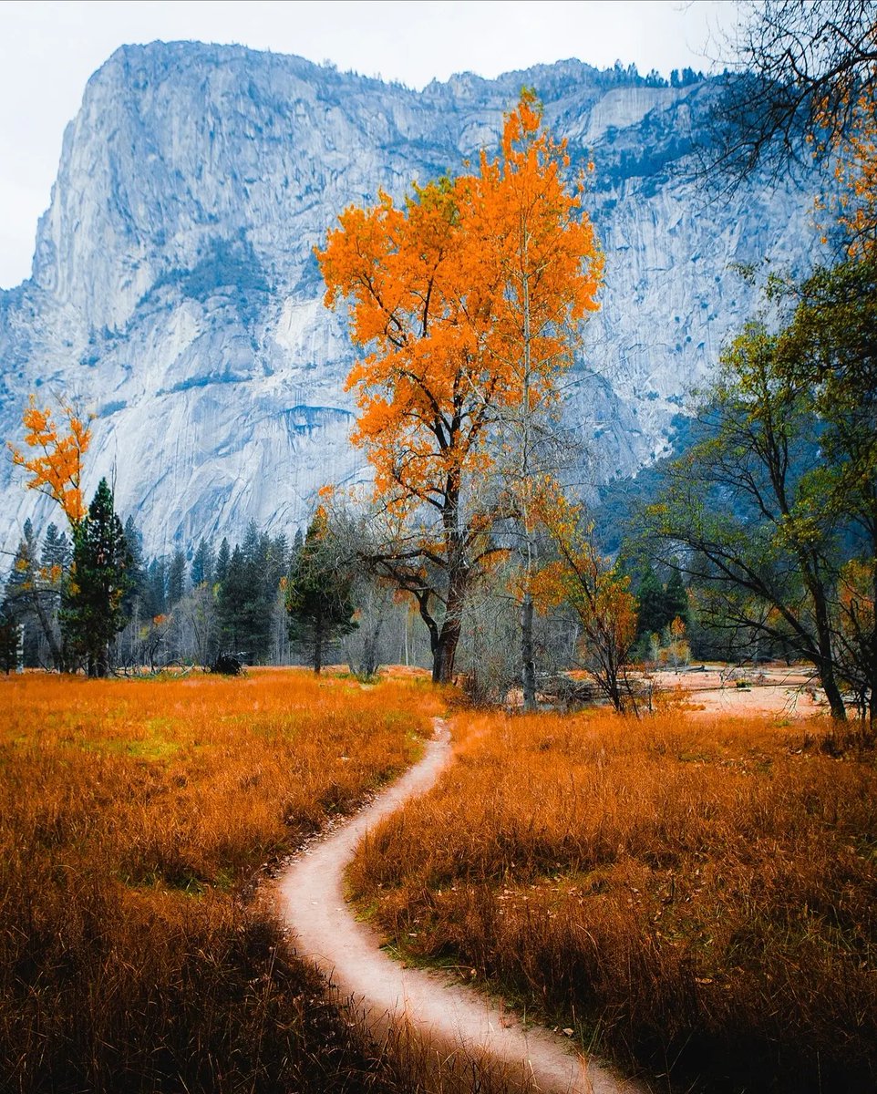 worldclick56's tweet photo. Yosemite National Park 🇺🇲 https://t.co/TbQT8t4RyI