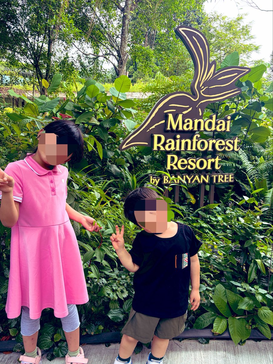 nami_tabibito's tweet photo. 一人旅メインですが、子連れ海外もします！

🌏子連れ旅行した国々🌍

2020 フィジー🇫🇯・バヌアツ🇻🇺
2024 オーストラリア(ケアンズ)🇦🇺
2025 ブルネイ🇧🇳
2026 シンガポール🇸🇬

この辺りも少しずつ詳しくポストしていきます！

#子連れ海外
#ファミリー旅行
#海外旅行 https://t.co/aWTbxeIKuS