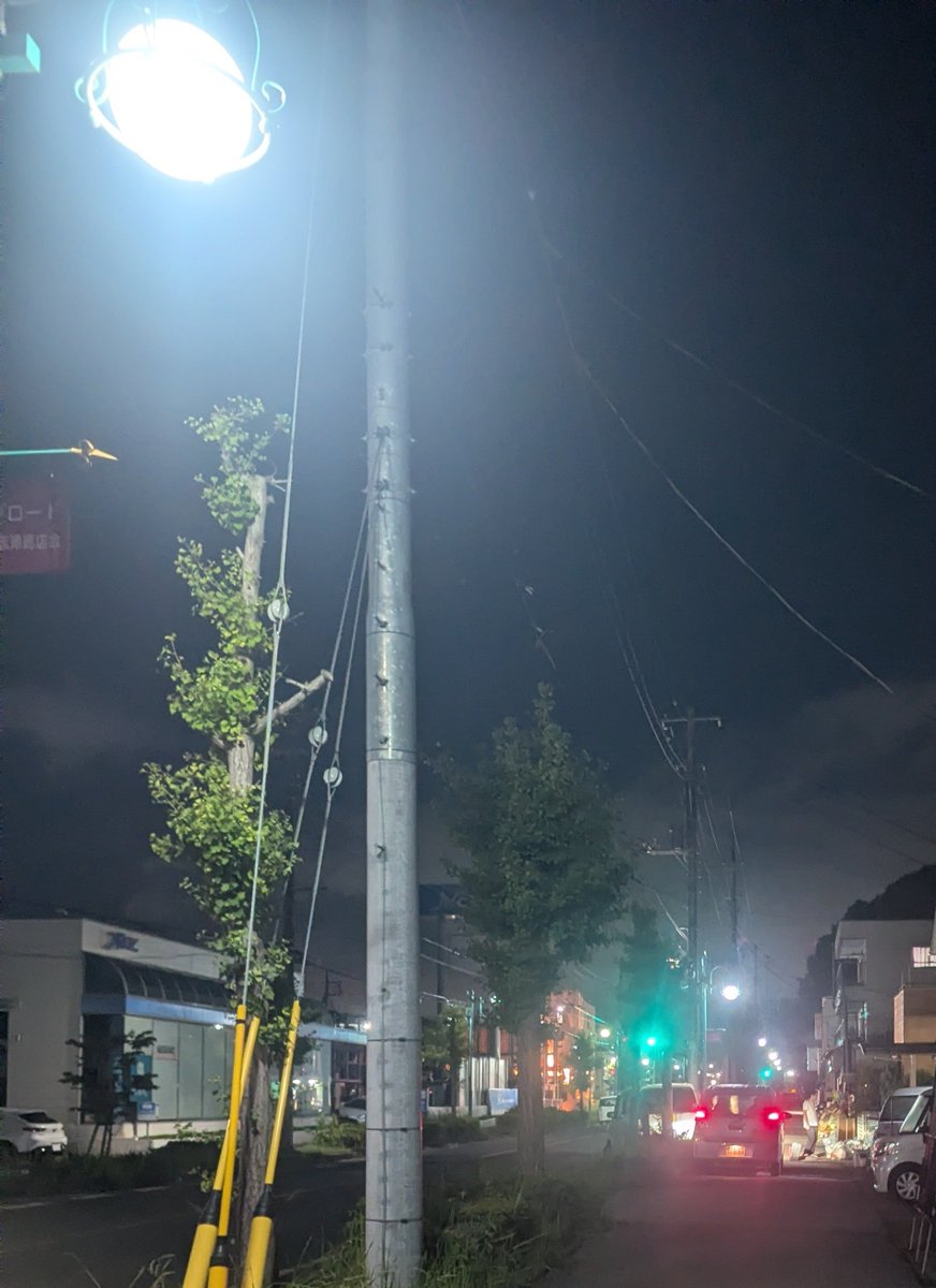 cyclesakura tweet picture