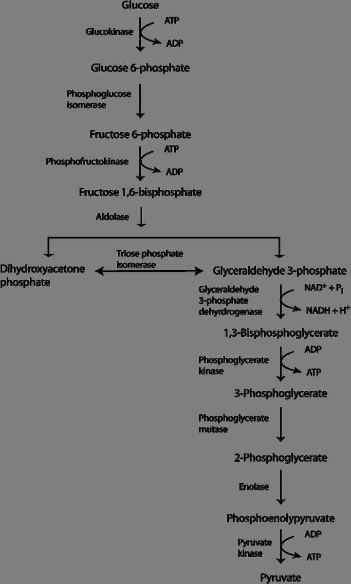 BashitKassim's tweet photo. #medicine https://t.co/ztdrjzKrZg