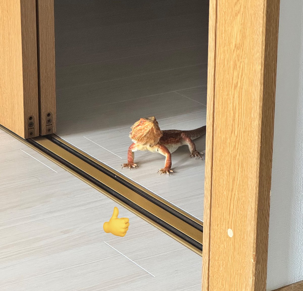 02nuco's tweet photo. 油淋鶏を作りましたわよ https://t.co/4rFLf377wn