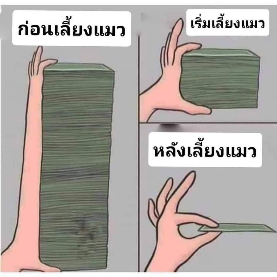 Fussynsc's tweet photo. อันนี้เรื่องจริง55555 https://t.co/TKKMjQSBQV