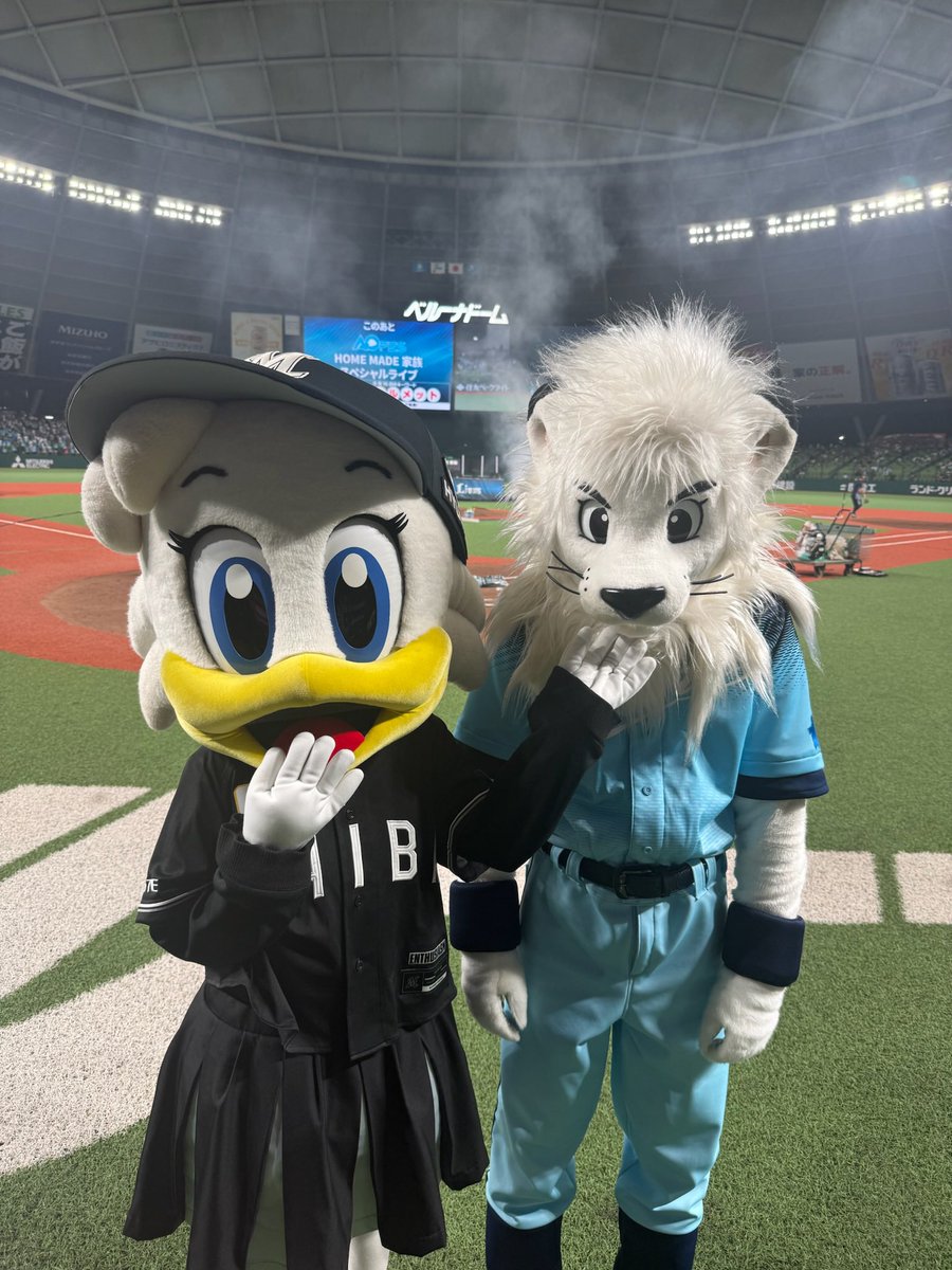 chibalotte_mar's tweet photo. リーンだよ(^◇^)/ レオ、ライナちゃん1日ありがとう🤍  #chibalotte #mar_kun #rine_chan https://t.co/UOeQ37UPz1