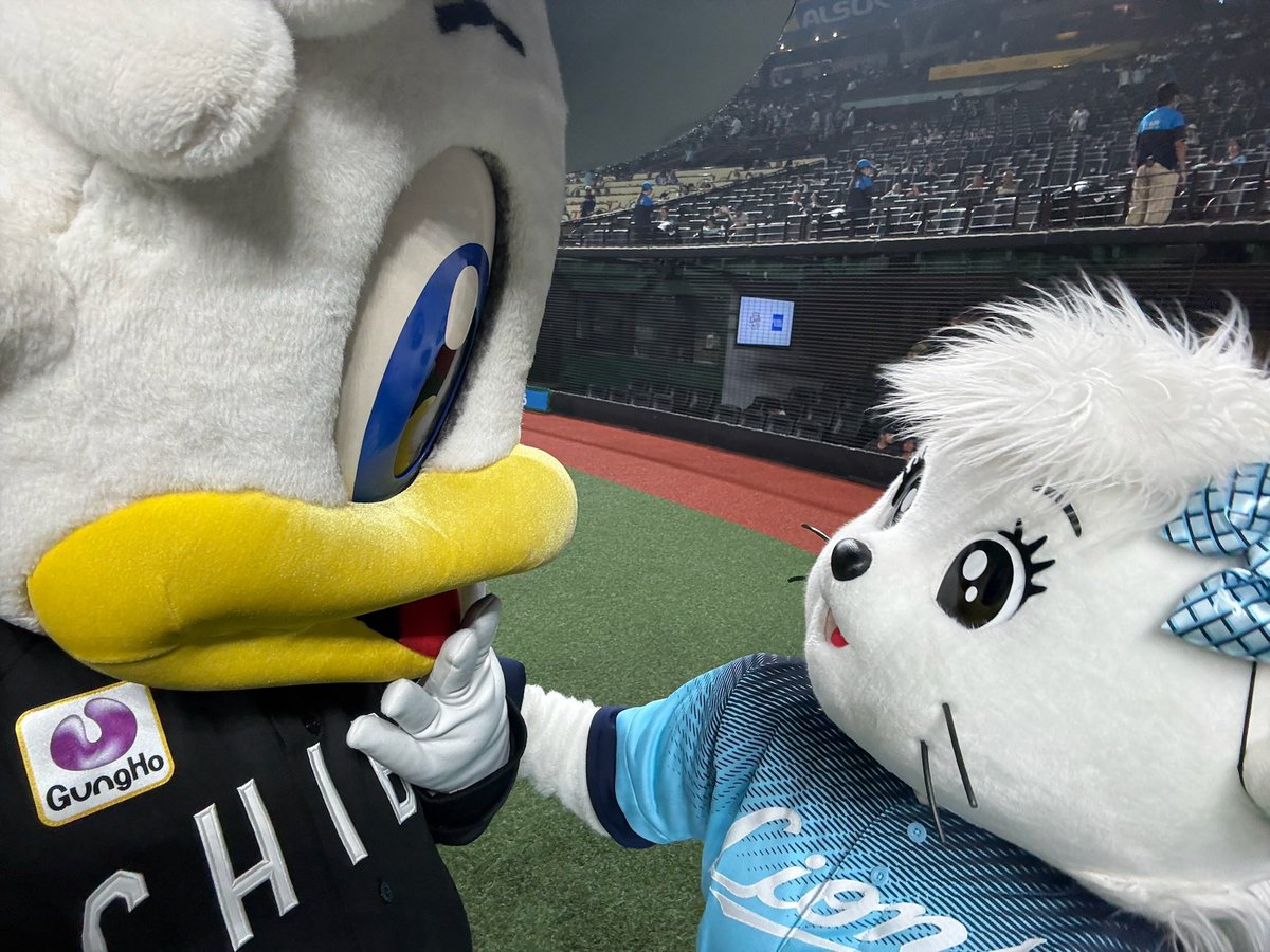 chibalotte_mar's tweet photo. リーンだよ(^◇^)/ レオ、ライナちゃん1日ありがとう🤍  #chibalotte #mar_kun #rine_chan https://t.co/UOeQ37UPz1