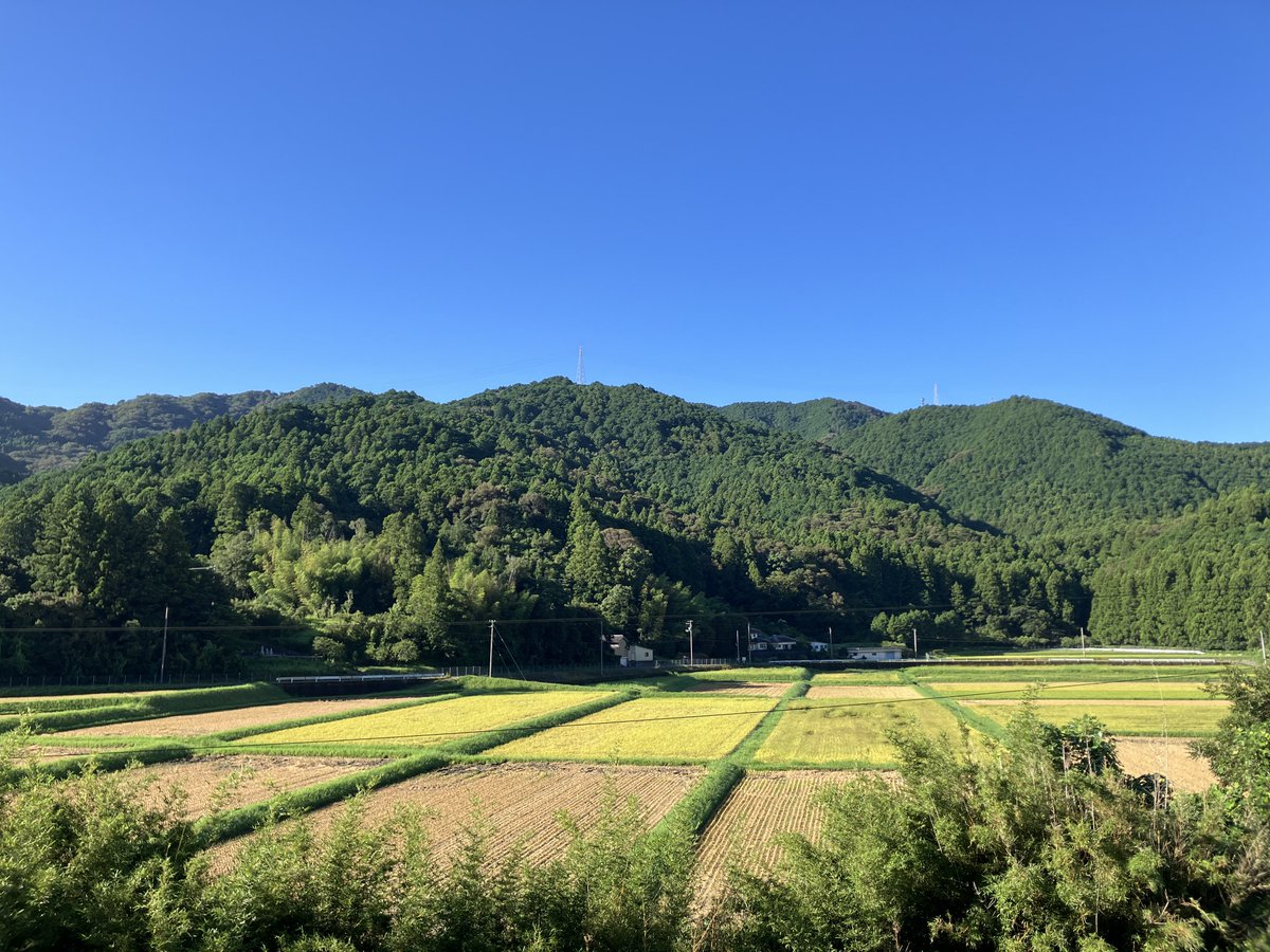 gemtic's tweet photo. 今年も8月1日から10日間、稲刈り、籾摺り、出荷のお手伝いしてきました😊家族みんなお疲れ様‼️ https://t.co/fbmnb5b33w