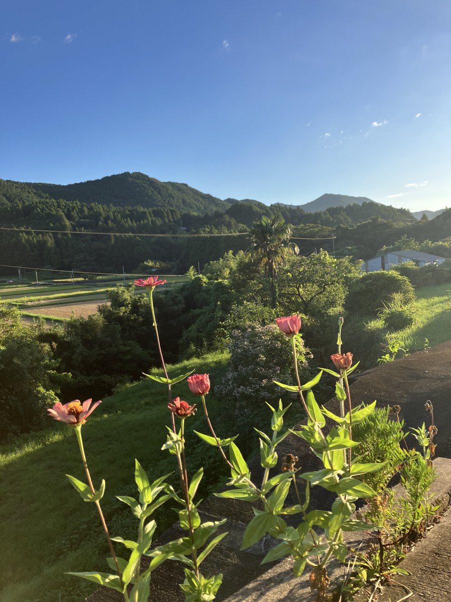 gemtic's tweet photo. 今年も8月1日から10日間、稲刈り、籾摺り、出荷のお手伝いしてきました😊家族みんなお疲れ様‼️ https://t.co/fbmnb5b33w