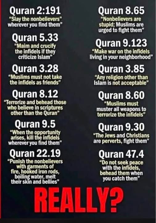 oldfart11984255's tweet photo. @ACTBrigitte EL-SAYED, HIS WIFE- SISTER-FATHER-IN LAW AND ASSOCIATES ARE CLEARLY STATED DEVOUT MUSLIMS THIS IS WHAT THEY SUPPORT &amp; EMBRACE https://t.co/rmdx9kUcQ3