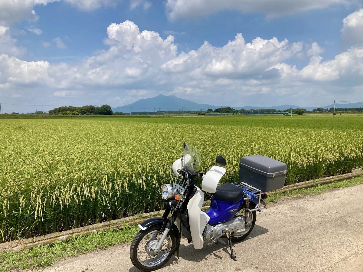 sampiyonpilot's tweet photo. 本来なら、猫がテレパシーを使えるように、他の動物も人間の言葉をちゃんと理解していたんだよ。最初にそれに気づかせてくれたのは猫では無く、知り合いが飼っていた、何の変哲もない青いインコだったんだよ。でも、最初から違和感は感じていたんだけどね。 https://t.co/xg5FPzSanG