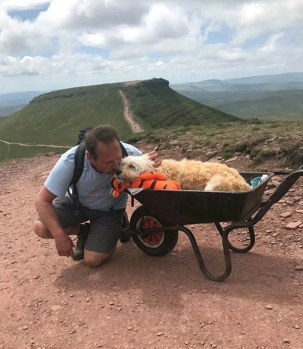 lapreskription's tweet photo. 🚨 IL EMMÈNE SON CHIEN ATTEINT D’UN CANCER POUR UNE DERNIÈRE PROMENADE.

Affaibli par la maladie, le chien ne pouvait plus se déplacer comme avant. Son propriétaire l’a alors ramené dans L’UN DE SES ENDROITS PRÉFÉRÉS, qu’il avait l’habitude de visiter avant de tomber malade. https://t.co/oaTwxlhK2u