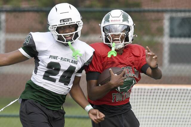 TribHSSNlive's tweet photo. Class 5A Northeast Conference preview: Powerful Pine-Richland’s goals start with conference crown https://t.co/8dDpABtrHD