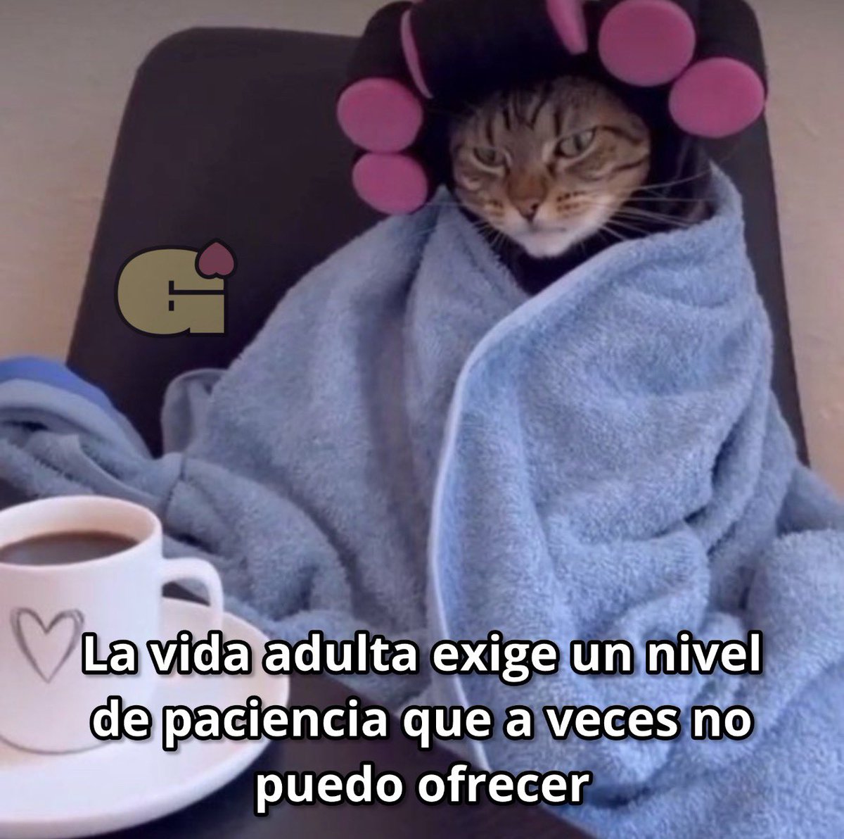 Guarromantico_'s tweet photo. La vida adulta. https://t.co/YLJIET0YyY