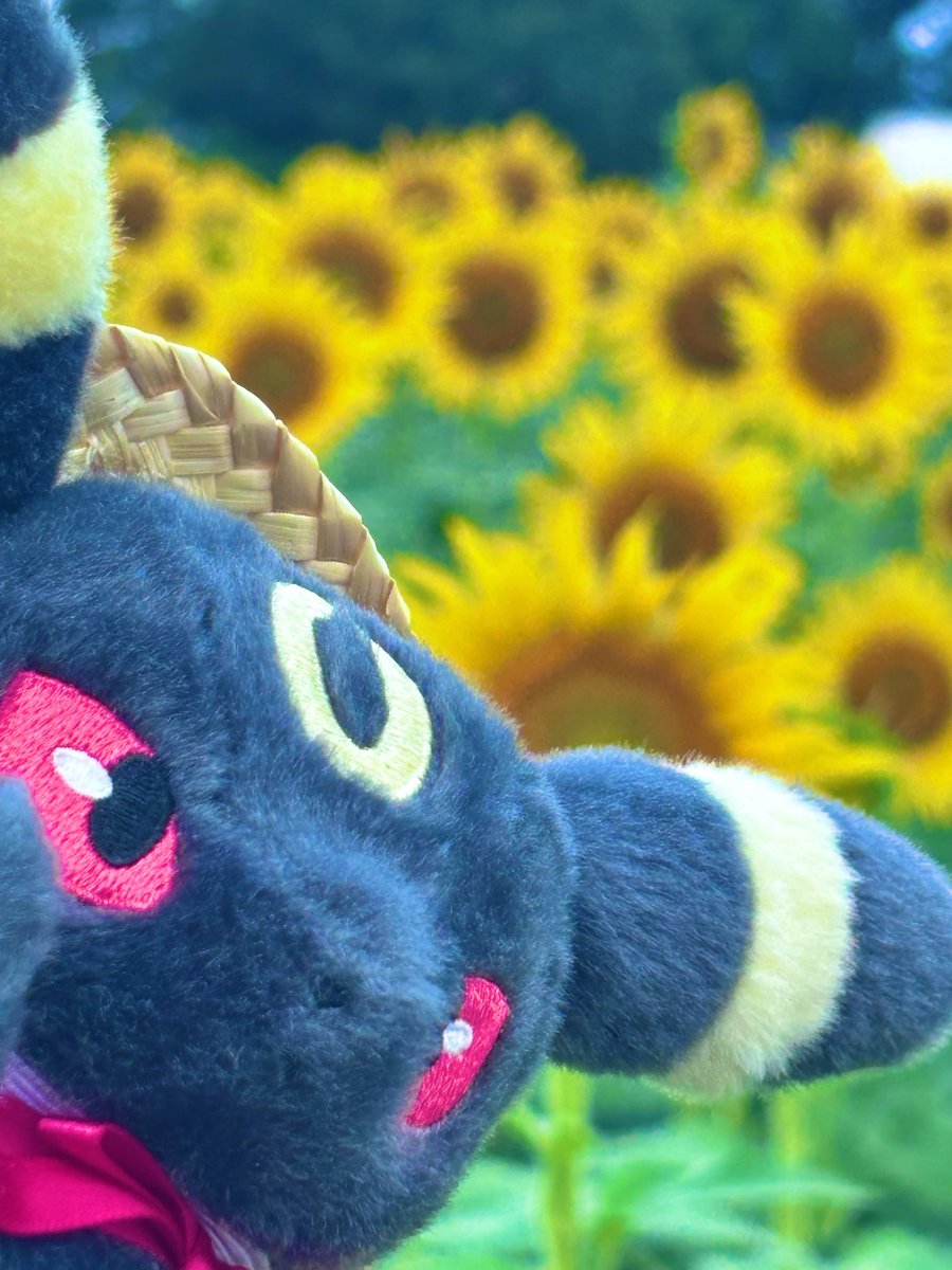 N_ra_2ver's tweet photo. 夏を満喫したわよ🌻 https://t.co/uMz3DJvLnw