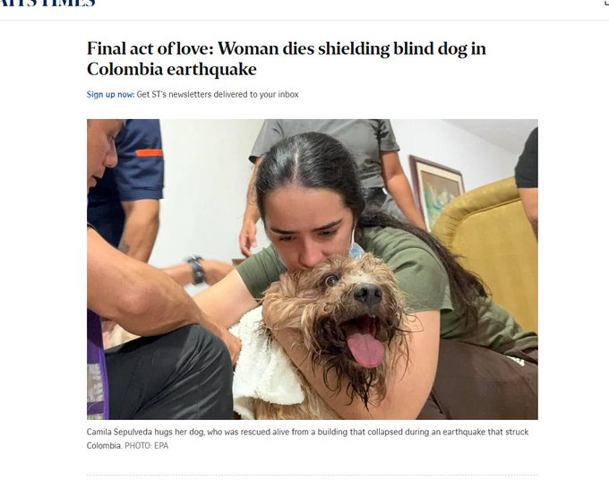 brucelros134's tweet photo. Wait this is actually INSANE  

Lenny died while SHIELDING HER BLIND DOG AND DIED IN THE EARTHQUAKE  

Sending all fees to Columbia Charity

https://t.co/UIps9Ju8yN https://t.co/BTvzfhOh7Q