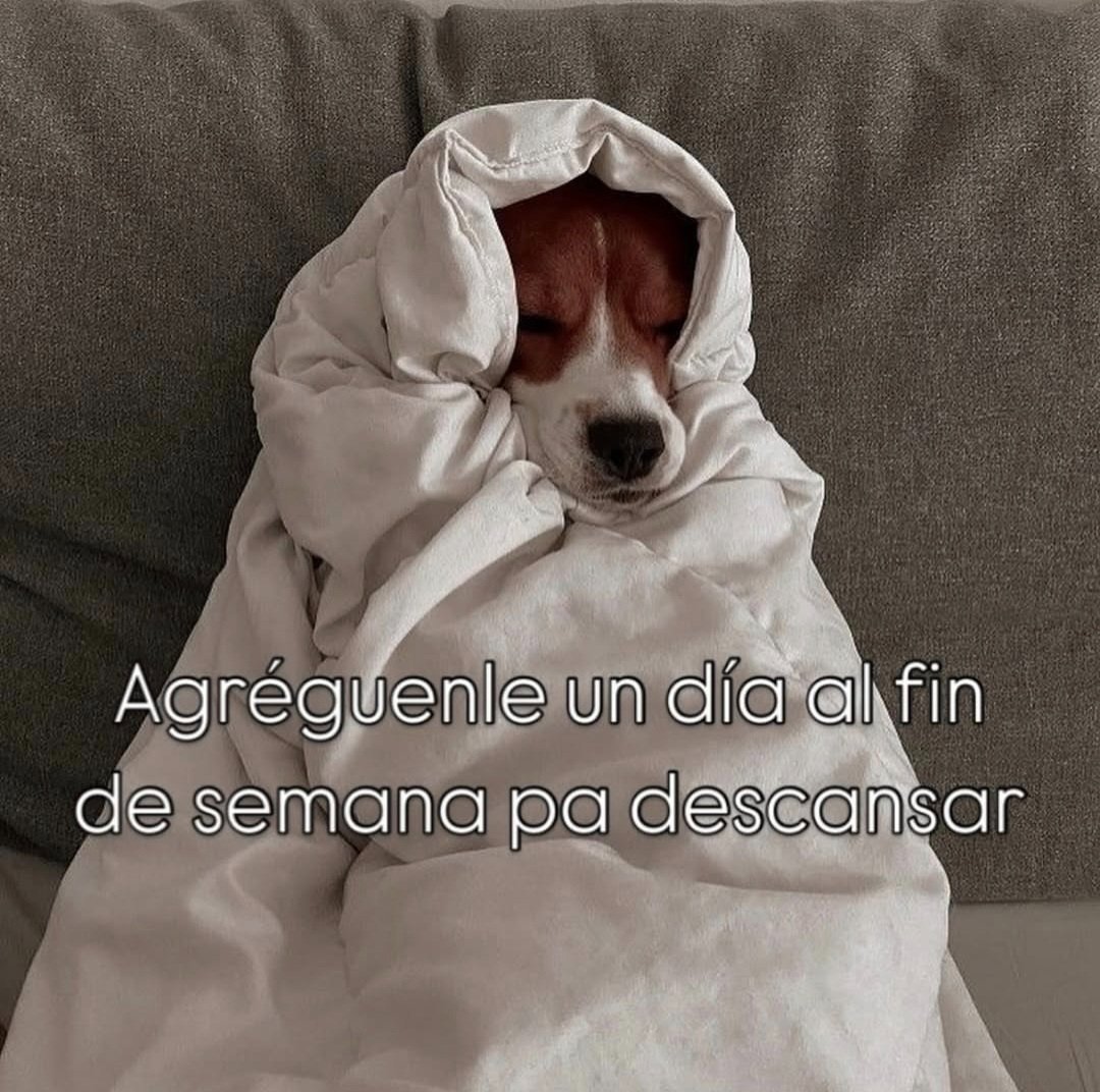 carlaconwifi's tweet photo. el deseo de todos https://t.co/y8R86rC7XZ