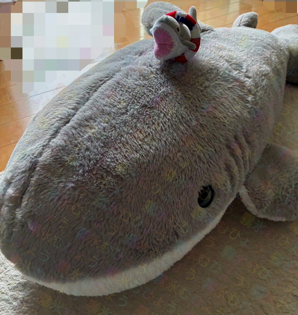 inspiration__'s tweet photo. 明日園遊会行く方たち楽しんでね〜🥳
私はお盆お仕事頑張ったので明日はダラダラしまし… https://t.co/hceqn0hdyp