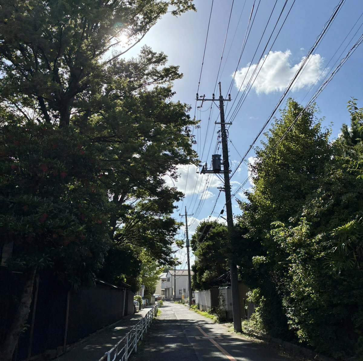 savaskose's tweet photo. 夜だね 起きましょう https://t.co/FUBdqrrVvn