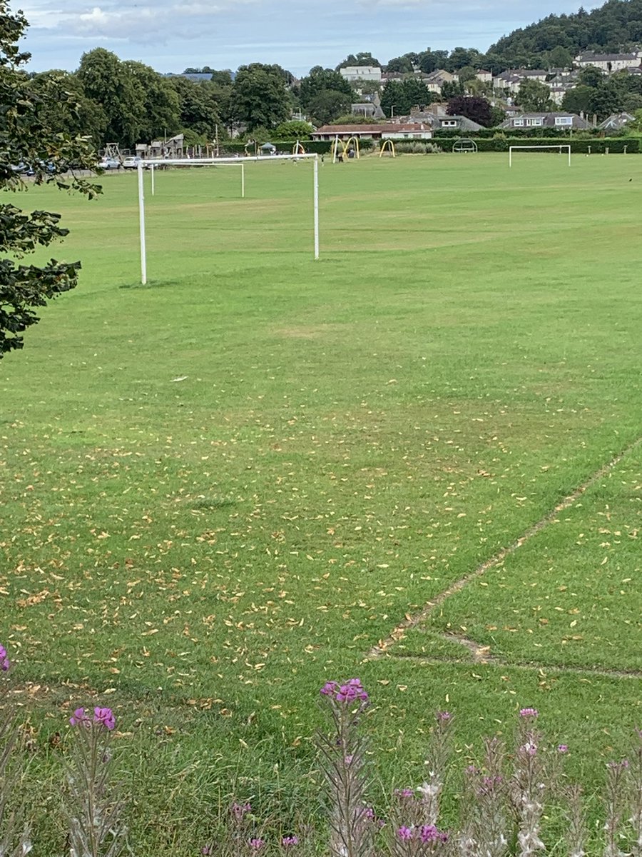 jogdundee's tweet photo. #dogsitting next week. If Sunday numbers anything to go by then it looks like Ziggy and I will pretty much have Lochee Park to ourselves next week. https://t.co/FyU8KbuiSE