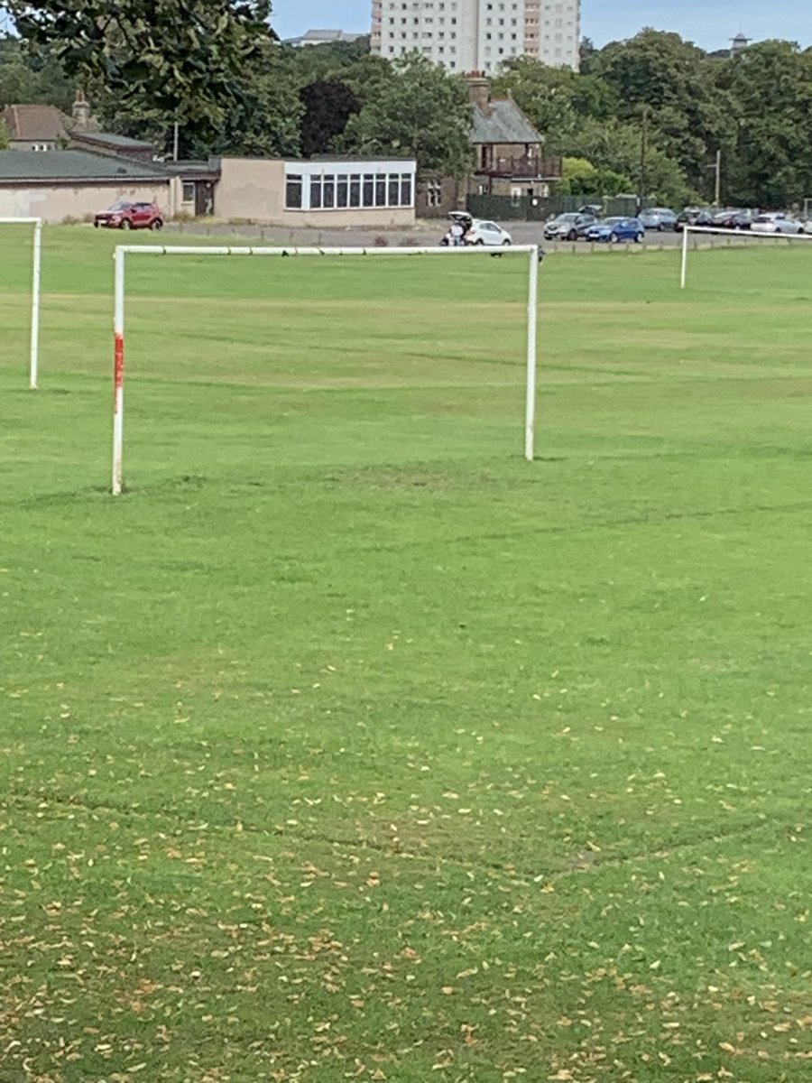 jogdundee's tweet photo. #dogsitting next week. If Sunday numbers anything to go by then it looks like Ziggy and I will pretty much have Lochee Park to ourselves next week. https://t.co/FyU8KbuiSE