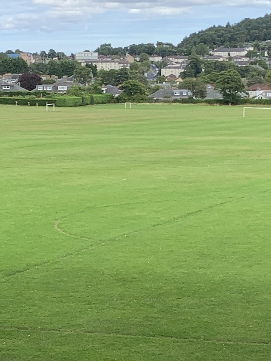 jogdundee's tweet photo. #dogsitting next week. If Sunday numbers anything to go by then it looks like Ziggy and I will pretty much have Lochee Park to ourselves next week. https://t.co/FyU8KbuiSE