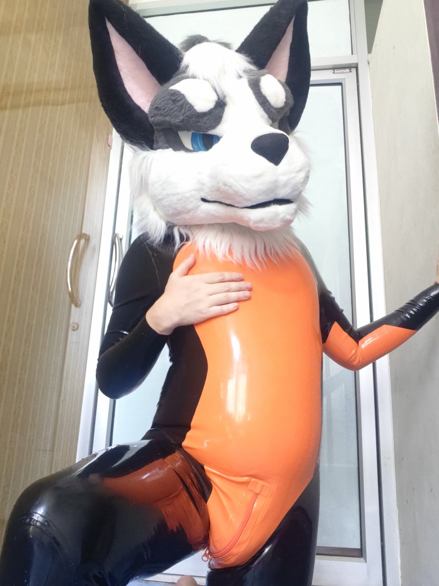 Maruthebaddog's tweet photo. Be strong πͺ β¨
Wolf don't stop shining π
Wolf sunny π» π
#ShinySunday #SqueakySunday #LatexFur #RubberFur #Rubber #Latex #Forfunbangkok https://t.co/O9nuaR3gLM