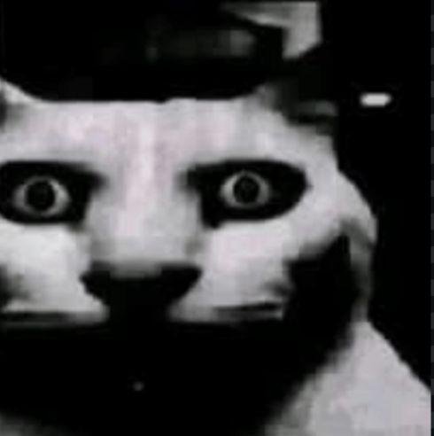 FruitgerCat_'s tweet photo. @sadgirlnlove E ainda mandou calar a boca porque tá no estabelecimento dele, sendo que o cabelo é de preferência da pessoa. Alexa, tocar todas as trombetas 🫪🙏 https://t.co/ggjTo8CTBw