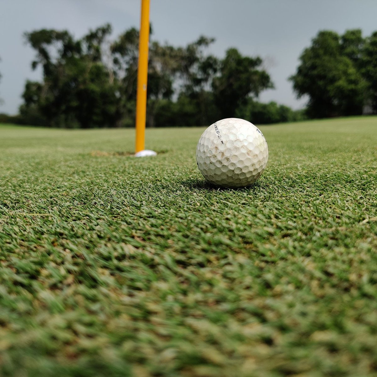 harsh20151986's tweet photo. Golf is also a fascinating business. I follow club memberships, course design, tournaments, sponsorships, hospitality, and the economics shaping where the game goes next. https://t.co/Gz3r0a6WM4
