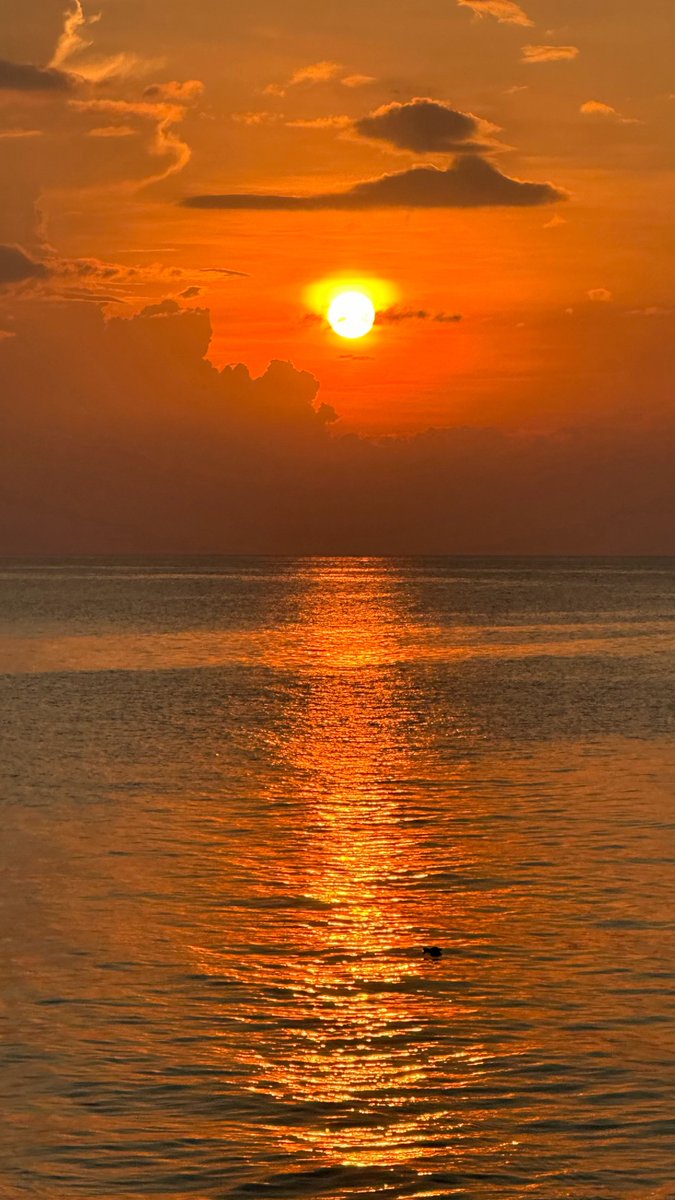 evpatoriy__'s tweet photo. Just wrapped up a quick day trip to the coastal town! Fresh seafood, ocean breeze and perfect sunset views made today pure magic. https://t.co/OzJ4Vgy4MH