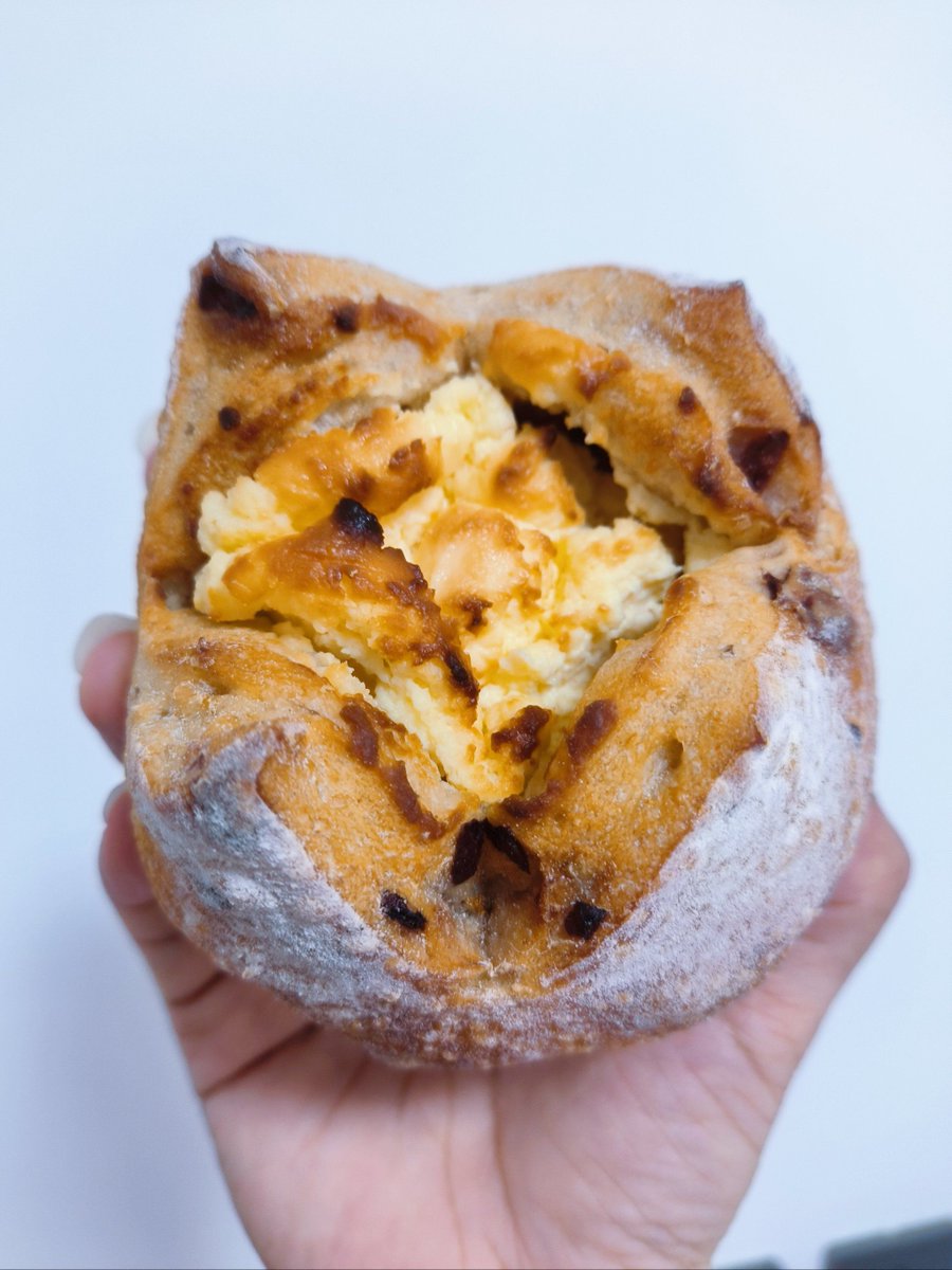 chxbk7's tweet photo. [Just found my old photo albums today—can’t believe how far I’ve come from pulling all-nighters for exams to baking Sunday bread for my roommates. Small steps, big warmth, that’s the adulting glow-up I didn’t plan for!]， https://t.co/7a0U1Cgatq