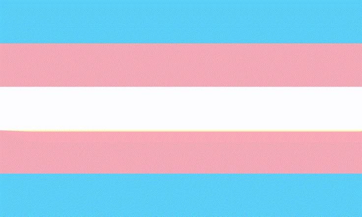 ThePerfectAngxl's tweet photo. // Alright, I'm coming outta the closet to you guys on #parodytwt... I'm transgender and a demiboy! I go by he/they pronouns! :] https://t.co/xLztvpluEW