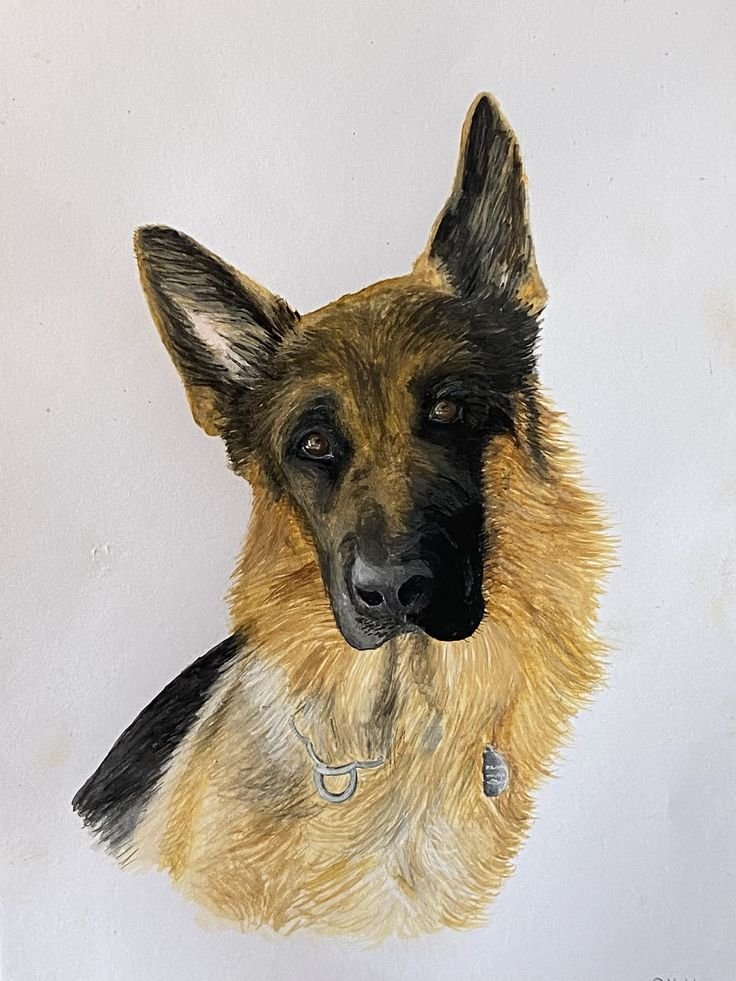 ShireenArtist's tweet photo. My dog died in an accident yesterday.💔🐶
Today,I picked up my pencil and painted him on canvas because I couldn’t bear the thought of losing his memory too.😭
I posted it on X hoping someone would understand what this meant to me…but it got 0 likes and 0 retweets.
Honestly,it hurts.💔
Maybe if I posted something inappropriate,I’d get 200+ likes in 30 minutes.Why does a dog’s memory get so little attention?🥺🐾
If you’ve lost a dog too and want a portrait to remember them by,details are in my bio.❤️